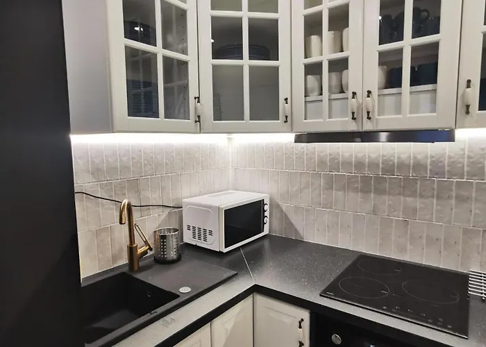 Czarny Jelen בית אירוח