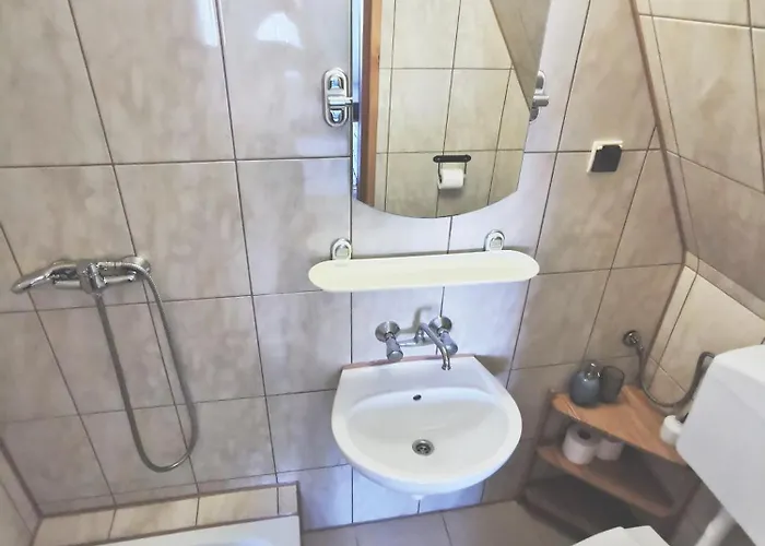 Czarny Jelen בית אירוח זקופאנה