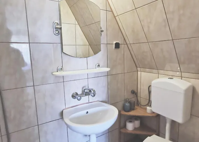 בית אירוח Czarny Jelen