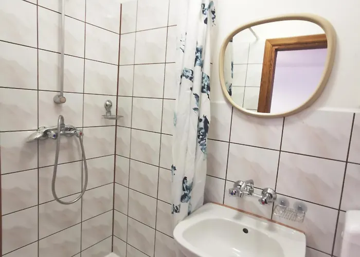 בית אירוח Czarny Jelen זקופאנה