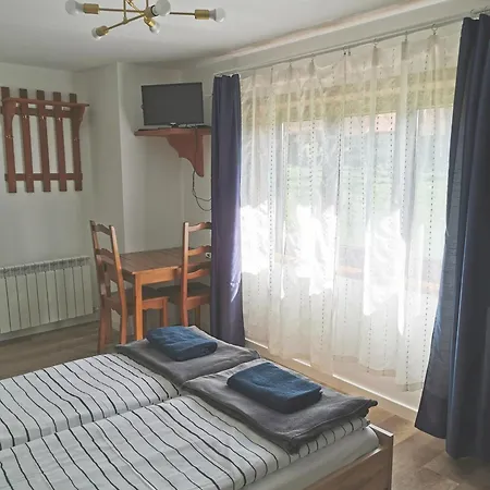 ホームステイ Czarny Jelen